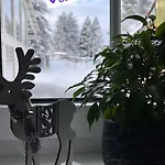 Ferienhaus Doina / Ferienwohnung Nr.1 Appartement *