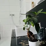 Ferienhaus Doina / Ferienwohnung Nr.1