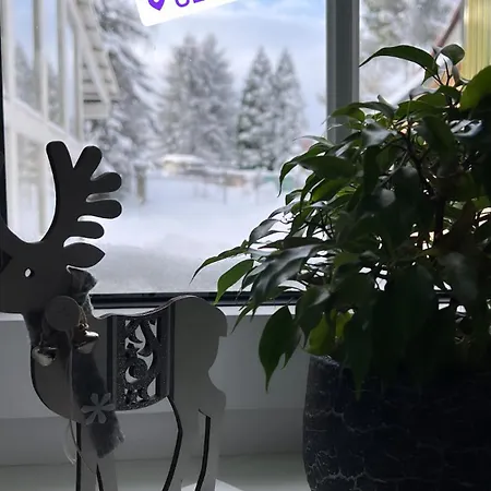 Doina Apartment *