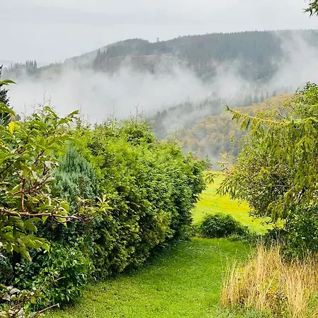 Daire Doina Gehlberg