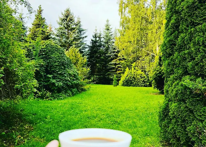 Doina Apartment Gehlberg